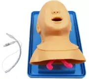 Advanced Infant Tracheal Intubation Model Education Teaching Training Manikins