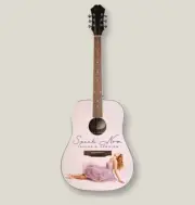Speak Now Taylor's Version Acoustic Guitar Taylor Swift Epiphone DR-100 PREORDER