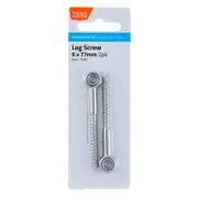 Taskmaster 6mm 316 Stainless Steel Lag Screw - 2 Pack