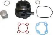 Standard Barrel For Malaguti F12 Phantom (50cc) (2T) (L/C) 2000 (50 CC)