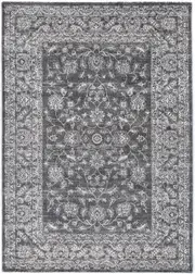 Salsa Dorian in Grey Rug