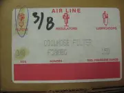 NEW CoilHose Pneumatics In-Line Air Line 3/8" Filter F380BG Bowl Guard