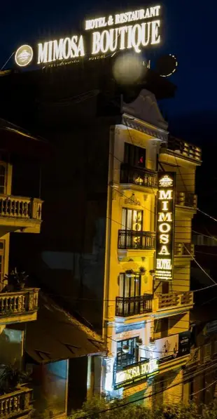 沙壩含羞草飯店Sapa Mimosa Hotel