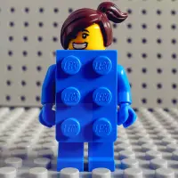 在飛比找露天拍賣優惠-【請湊滿300下標】LEGO 樂高 抽抽樂人仔 18季 磚塊