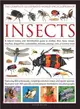 The Complete Illustrated World Encyclopedia of Insects ― A Natural History and Identification Guide to Beetles, Flies, Bees, Wasps, Mayflies, Dragonflies, Cockroaches, Mantids, Earwigs, Ants, and