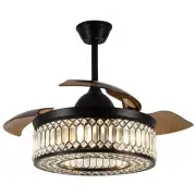 42 Inch Retractable Ceiling Fans with Lights and Remote, Modern Industrial