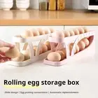 Egg Holder Kitchen Rack 2-tier Fridge Storage Box