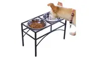Pawz Dual Pet Feeder Bowl Stainless Steel Large