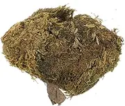 CORHAD 1 DIY for Terrariums Craft Projects Potted Plants Simulated Vivid for Micro Landscape Decoration and Present Packaging