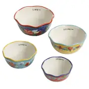Pioneer Woman Spring Bouquet Ceramic Measuring Spoons and Cups Set of 8 NEW