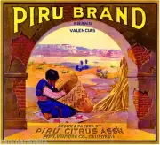 Piru Ventura County California Orange Citrus Fruit Crate Box Label Art Print