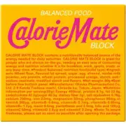 Calorie Mate Block Maple Flavor energy bar Otsuka Japan Japanese Foods