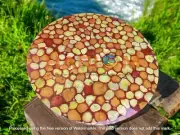 24" Red Agate Stone Coffee Table Handmade Kitchen Slab Countertop Hallway Decors