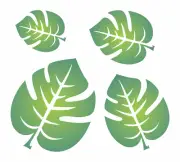 Stencils by Joanie Monstera Tropical Split Leaf Beach Plant Home DIY Art Signs