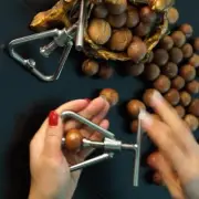 Nutcracker Chestnut Clip Nut Crackers Tools Convenient Useful for Nuts Walnuts