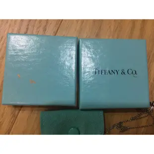 正品 Tiffany & Co 925純銀 海星項鍊