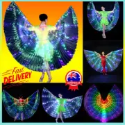 LED Butterfly Wings Fairy Pixie Light Up Costume Party IW