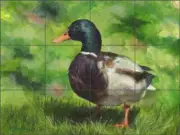 Duck Tile Backsplash Debbie Hughbanks Wildlife Art Ceramic Mural DHA011
