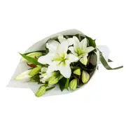 Interflora | Pure Lilies