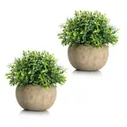 2Pcs Mini Artificial Boxwood Topiary Faux Plants Indoor- Small Fake Dark Green