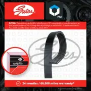 6 Rib Multi V Drive Belt fits JEEP COMMANDER 3.7 4.7 05 to 10 Gates 4892791AA