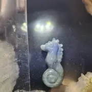 Seahorse Labradorite Carving