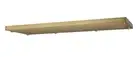 Z-Lite CP4217L Canopy 42"W - Brass