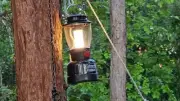 Coleman™ Rechargeable Rugged Lithium Ion LED Lantern, 300 Lumens, Durable,