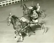 YONKERS RACEWAY Harness Horse Race CARDIGAN BAY winner 1966 OLD PHOTO