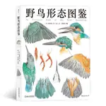 台灣現貨 野鳥型態圖鑑 中文翻譯書 野鳥介紹 鳥類攝影 野鳥專業書籍 鳥類百科全書