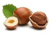 20L - HAZELNUT OIL (SPAIN) - COLD PRESSED (REFINED) - 100% PURE CARRIER OIL