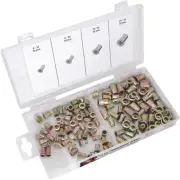 Performance Tools W5251 Threaded Insert Rivet Replacement Pack for Threaded Inse