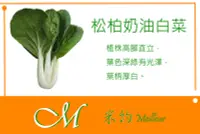 在飛比找Yahoo!奇摩拍賣優惠-《Meilleur》松柏奶油白菜種子10元 1.5g (約6