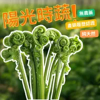 在飛比找台灣好農優惠-買三送一!陽光良食SUNSHINE FOOD 過貓250g*