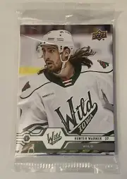 Iowa Wild Team Set 2019-20 Upper Deck Mayhew Anas Sturm 6 Cards Minnesota Wild
