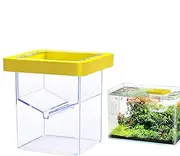 Fish Tank Breeder Box - Breeder Isolation Divider - Suction Cup Hatching Container, Aquarium Acclimation Hatchery Incubator for Baby Shrimp and Guppy
