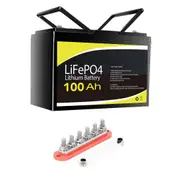 12V 100Ah LiFePO4 Battery + Bus Bar M8 Power Distribution Terminal Block (6 GANG 300A Red)