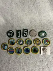 GIRL SCOUT BADGES + pin And Wooden Nickel 1970s Lot Of 16 vintage Brownie 70s