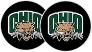 Desert Cactus Ohio University Car Coaster Bobcats Absorbent Sandstone Car Cup Coasters Set of 2 (Design A)