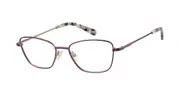 Radley RDO 6041 061 Men's Glasses Purple Size 51 - Private Health Rebate - Blue Light Block Available