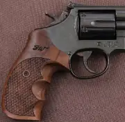 Smith & Wesson N Frame Dragon skin Grips Roundbutt