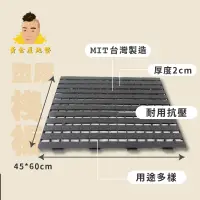 在飛比找蝦皮購物優惠-塑膠棧板 棧板 寵物棧板 置物棧板 台灣製造 45*60*2