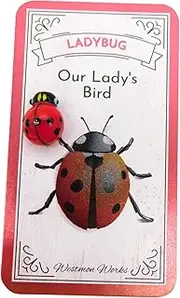 [Westmon Works] Ladybug Pocket Charm Set Our Ladys Bug Glass Trinket Catholic Legend with Story Card, One Size, Metal, No Gemstone