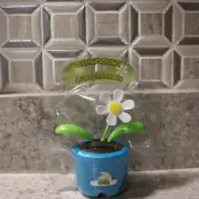 Blue Solar Dancing DAISY Sun Light Powered FLOWER TOY Great Gift BOBBLE HEAD