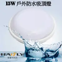 在飛比找松果購物優惠-HAFLY 15W LED 戶外防水圓形 吸頂燈 IP65 