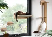 NEW Cat Window Perch, Steps Shelves, Window Suction Hammock, Scratching Post