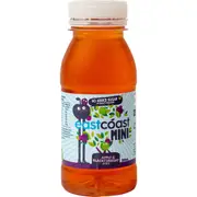 Eastcoast Mini Apple & Blackcurrant Juice 200ml