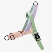 SofterWalk No Pull Dog Harness - Peach