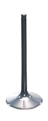 Pro-X Intake Valve - Titanium - 28.2401-3