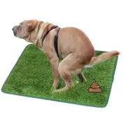 Artificial Grass Mat Fake Lawn Puppy Dog Pee Pad Training Indoor Toilet 46*71cm